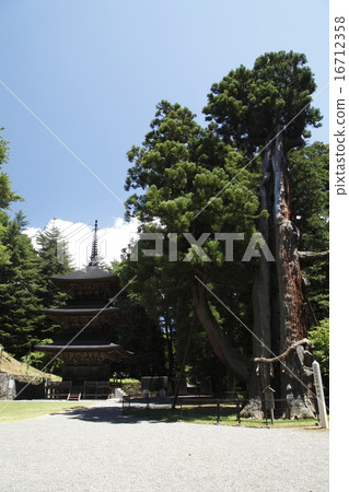 Makotoji Temple和Mikiyo Cherry Blossoms（Miyota Town） 16712358