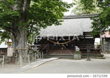 Shiratori Shrine (Tohin-shi) 16712399