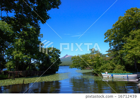 Water lily floating on the lake surface and Komagatake 16712439