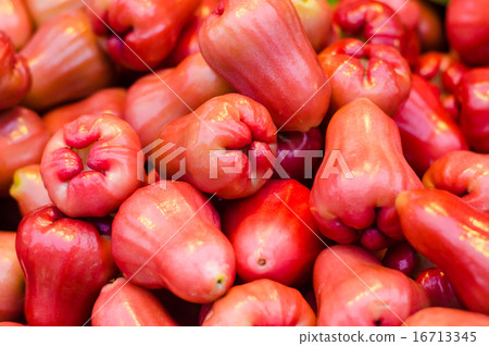 rose apple. 16713345