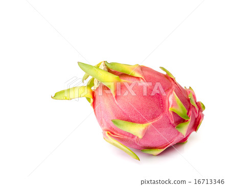 Dragon Fruit. Dragon Fruit. 16713346