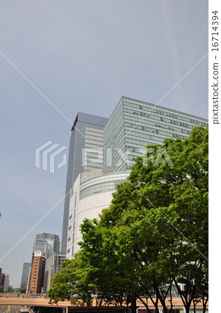 建立小組 建立小組 16714394