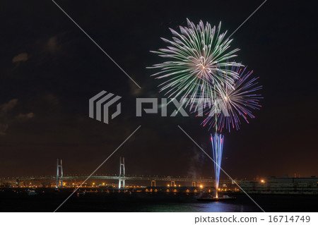 海灣大橋和港區未來煙花_D 海灣大橋和港區未來煙花_D 16714749