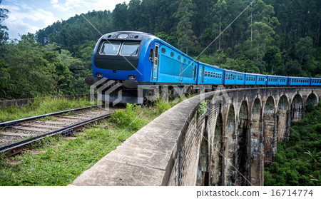 Train passing over Nine Arches Bridge in Demodara 16714774