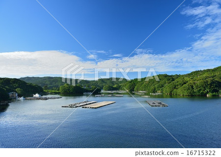 Seiura灣的木筏 16715322