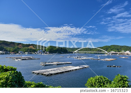 Seiura灣的木筏 16715323