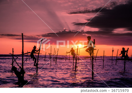 sri lankan traditional fisherman on stick in the I sri lankan traditional fisherman on stick in the I 16715970