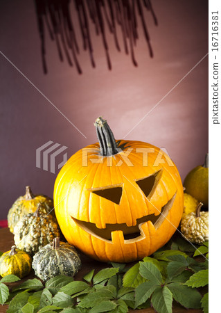 Pumpkins for Halloween, bright colorful vivid theme Pumpkins for Halloween, bright colorful vivid theme 16716381