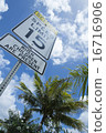 棕櫚樹和標誌 16716906