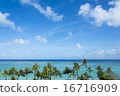 水平線和棕櫚樹 16716909