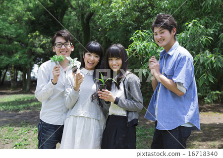 Students planting trees 16718340