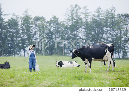 A woman working in a farm A woman working in a farm 16718889