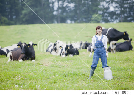 A woman working in a farm A woman working in a farm 16718901