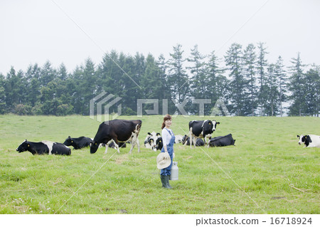 A woman working in a farm A woman working in a farm 16718924