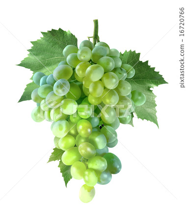 Big bunch of green grapes isolated on white Big bunch of green grapes isolated on white 16720766