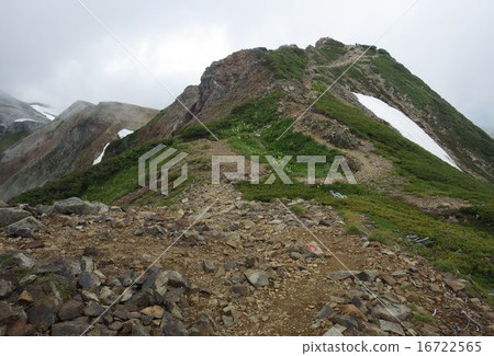 Korengesan Korengesan 16722565