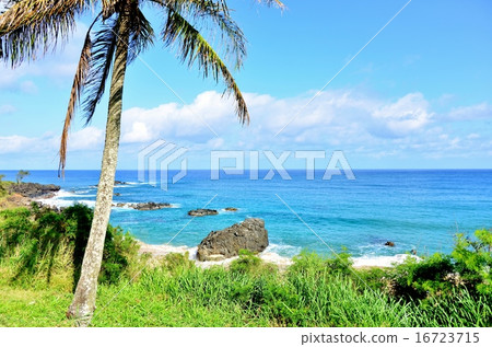 Holidays in Hawaii 16723715