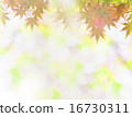 Autumn leaves and light sunshine 16730311