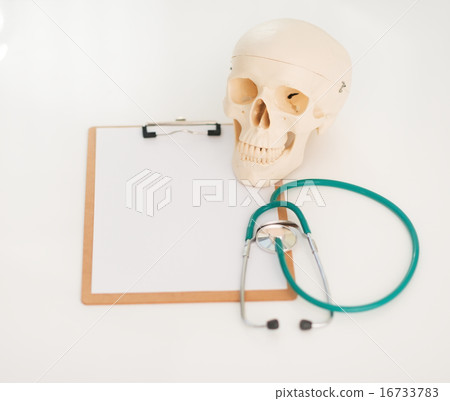 Closeup on human skull stethoscope and clipboard Closeup on human skull stethoscope and clipboard 16733783