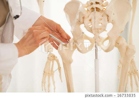 Closeup on medical doctor woman pointing on femur of human skele Closeup on medical doctor woman pointing on femur of human skele 16733835