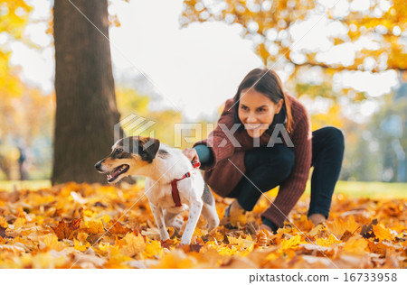 Closeup on cheerful dog and young woman holding it outdoors in a 16733958