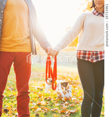 Closeup on young couple holding leash together in autumn park Closeup on young couple holding leash together in autumn park 16733961