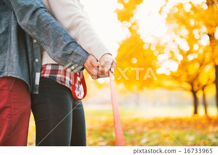 Young couple holding leash together in autumn park Young couple holding leash together in autumn park 16733965