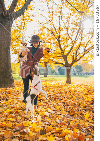 Happy young woman playing with dogs outdoors in autumn Happy young woman playing with dogs outdoors in autumn 16733967