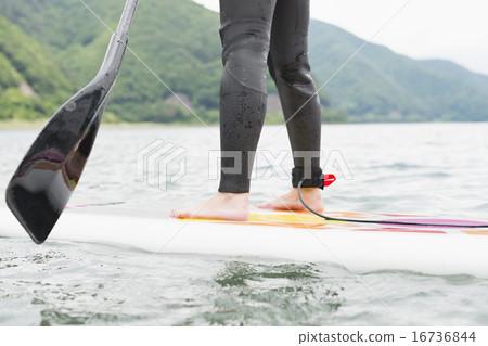 戶外家庭 戶外家庭 16736844