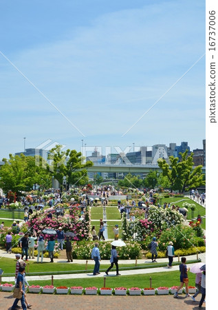 玫瑰園風景 16737006