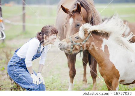 Women and horses Women and horses 16737023