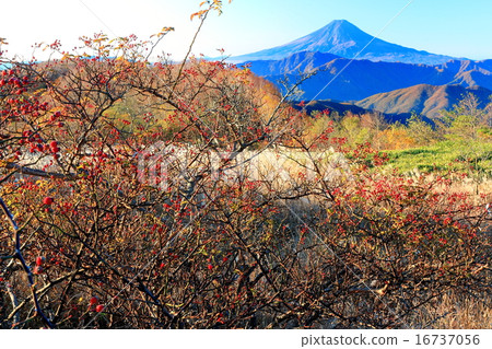 從Bodhisattva Minami Odori Takamaru看到的富士山 16737056