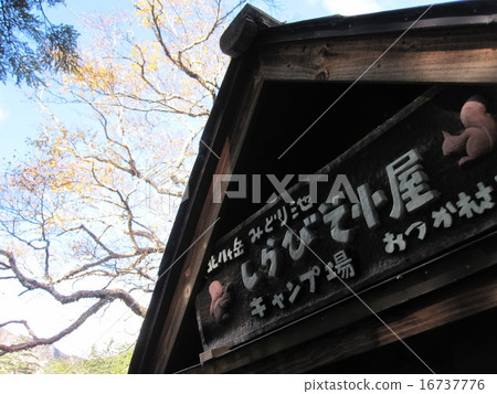 Shirase鞋標誌 16737776