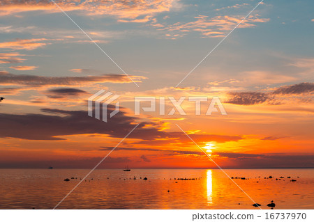 Sailing ship yachts in the sea Sailing ship yachts in the sea 16737970