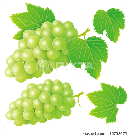 Grape Grape 16738675