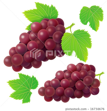 Grape  16738676