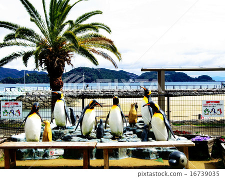 Nagasaki Penguin Aquarium Nagasaki Penguin Aquarium 16739035