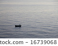 Seascape with fisherman boat 16739068