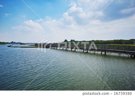 Isasuma海濱再生項目在夏天的天空 Isasuma海濱再生項目在夏天的天空 16739380