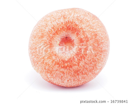 Lactarius torminosus on white background Lactarius torminosus on white background 16739841