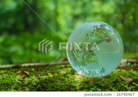 生態圖像地球水晶 16740467