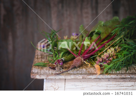 Herbs and vegetables 16741031