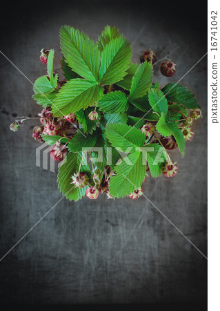 Bunch of strawberries 16741042