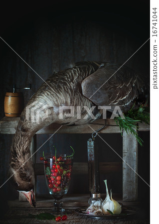Still life with greylag 16741044