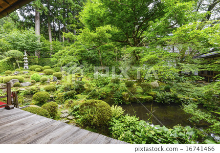 Kyoto Sanzenin Ju-en Garden 16741466