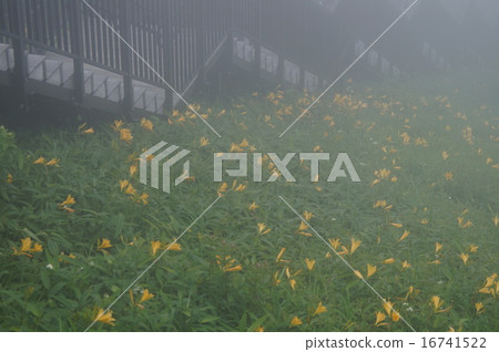 Steep stairs Steep stairs 16741522