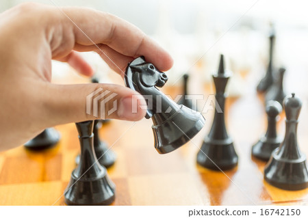 male hand holding black horse chess piece 16742150