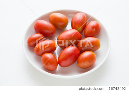 Tomato Tomato 16742492
