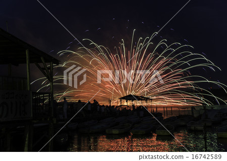 Teganuma fireworks festival 16742589