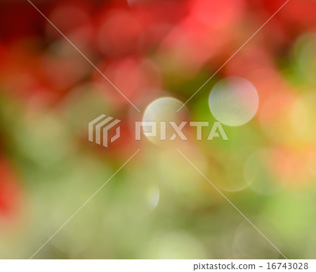 Abstract Christmas bokeh lights background 16743028
